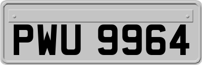 PWU9964