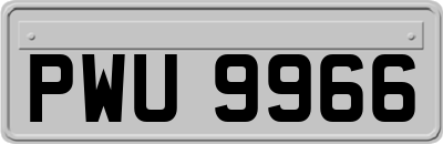 PWU9966