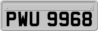 PWU9968