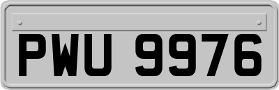 PWU9976