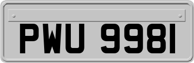 PWU9981