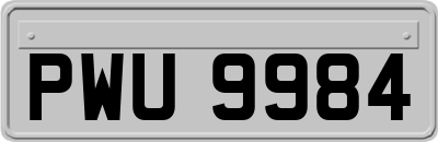 PWU9984