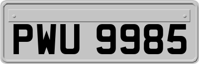 PWU9985