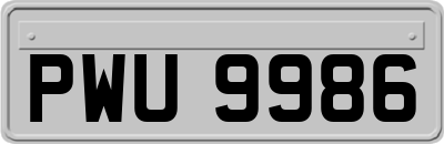 PWU9986