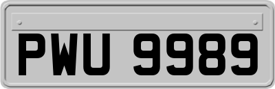 PWU9989