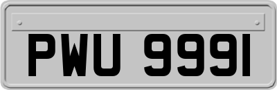 PWU9991