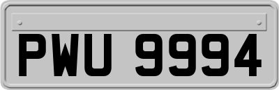 PWU9994