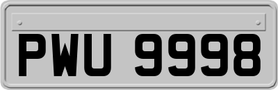 PWU9998