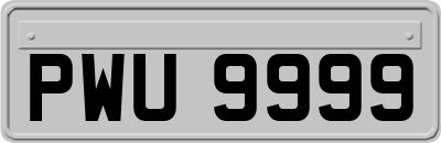 PWU9999