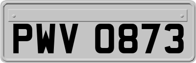 PWV0873