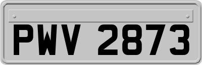 PWV2873