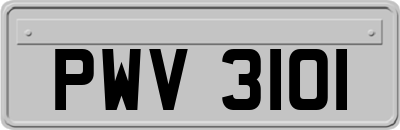 PWV3101