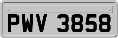 PWV3858