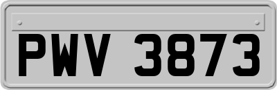 PWV3873