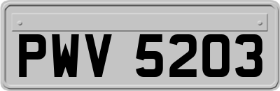 PWV5203