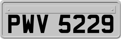 PWV5229