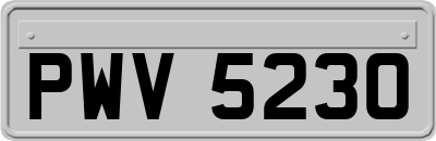 PWV5230