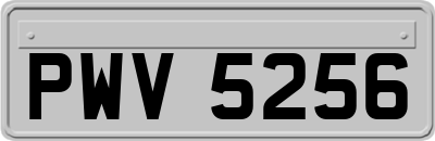 PWV5256