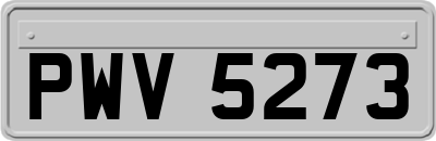 PWV5273