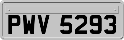 PWV5293