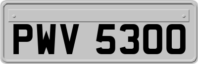 PWV5300