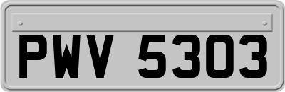 PWV5303