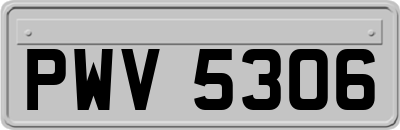 PWV5306