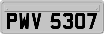 PWV5307