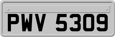 PWV5309