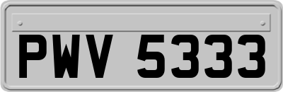 PWV5333