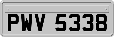 PWV5338