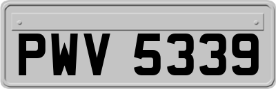 PWV5339