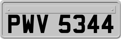 PWV5344