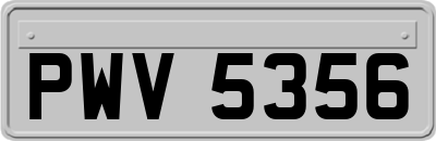 PWV5356