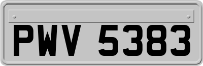 PWV5383