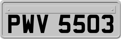 PWV5503