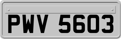 PWV5603