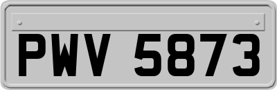 PWV5873