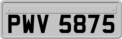 PWV5875