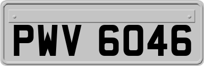 PWV6046