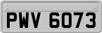 PWV6073