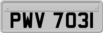 PWV7031