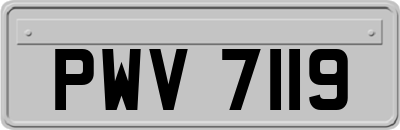 PWV7119