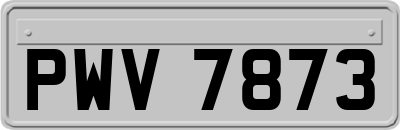 PWV7873