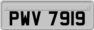 PWV7919