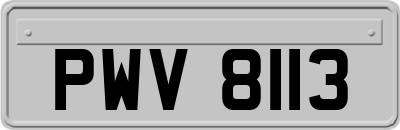 PWV8113