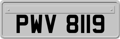 PWV8119