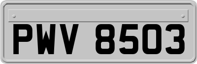 PWV8503