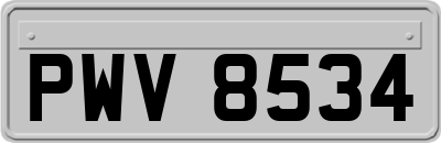 PWV8534