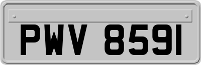 PWV8591